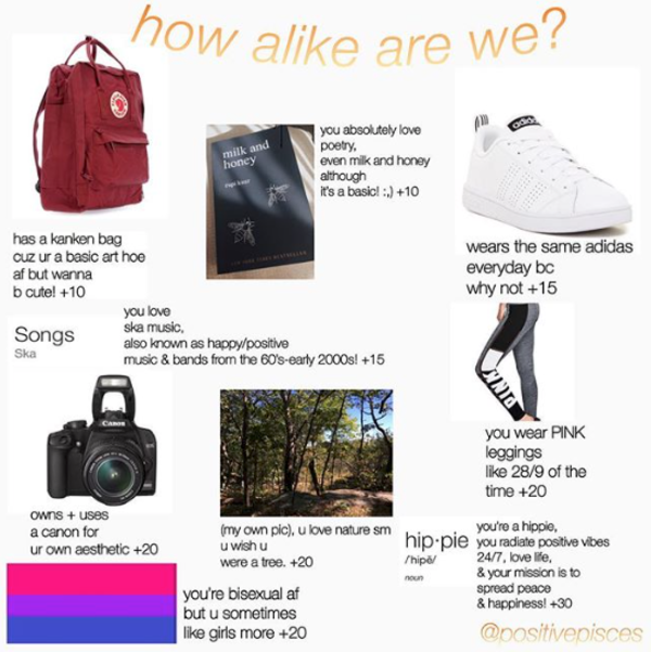 how alike are we? Niche Memes Know Your Meme