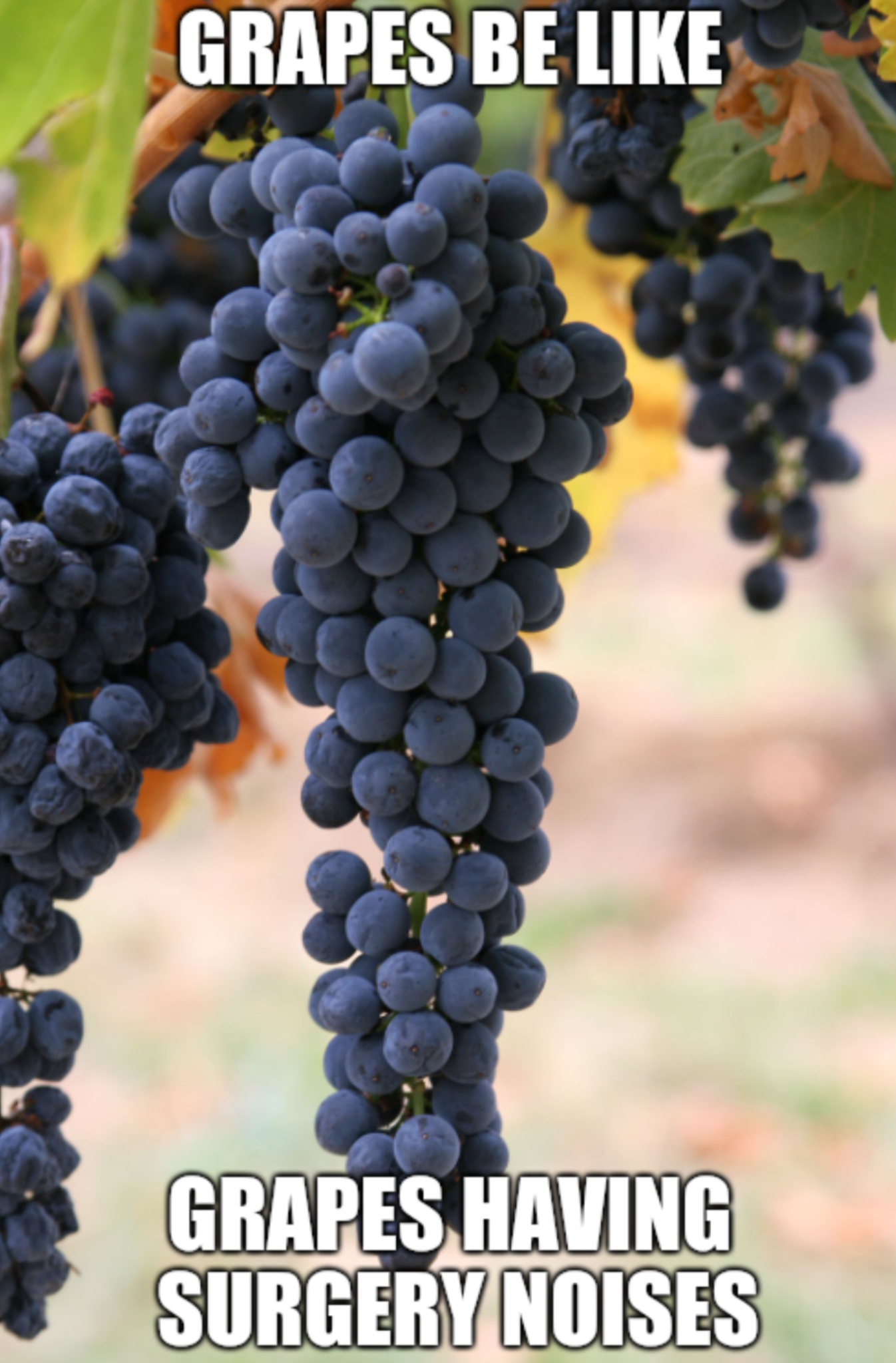 It Really Do Be Like That They Did Surgery On A Grape Know Your Meme