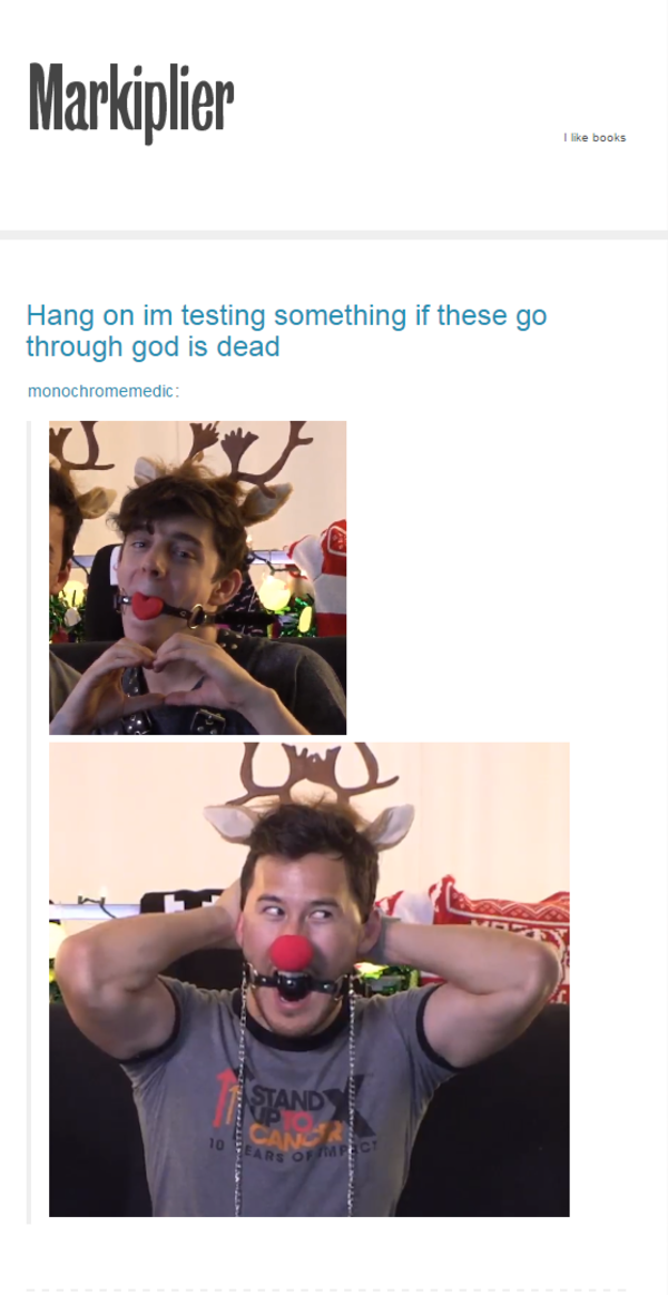Tumblr has not flagged this post yet Markiplier Know Your Meme