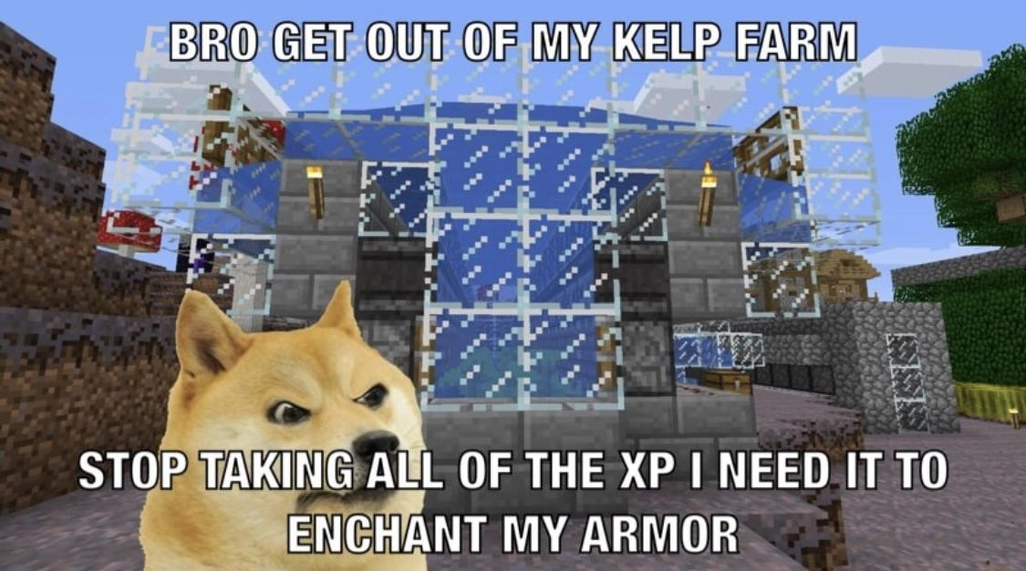 Minecraft Doge Ironic Doge Memes Know Your Meme