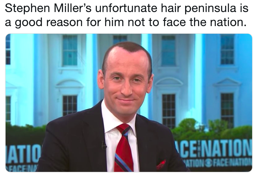 Stephen Miller S Unfortunate Hair Peninsula Is A Good Reason For Him Not To Face The Nation Stephen Miller S Spray On Hair Know Your Meme