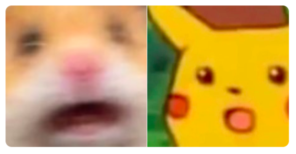 pikachu hamster