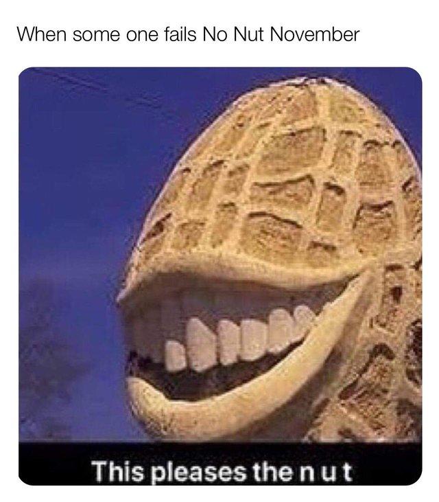 Nut is Pleased This Pleases the Nut Know Your Meme