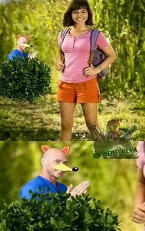 Swiper... Dora the Explorer Know Your Meme