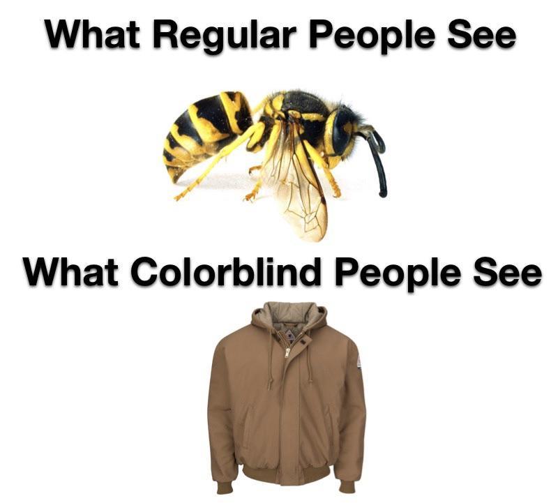 Yellow Jacket What Colorblind People See Know Your Meme