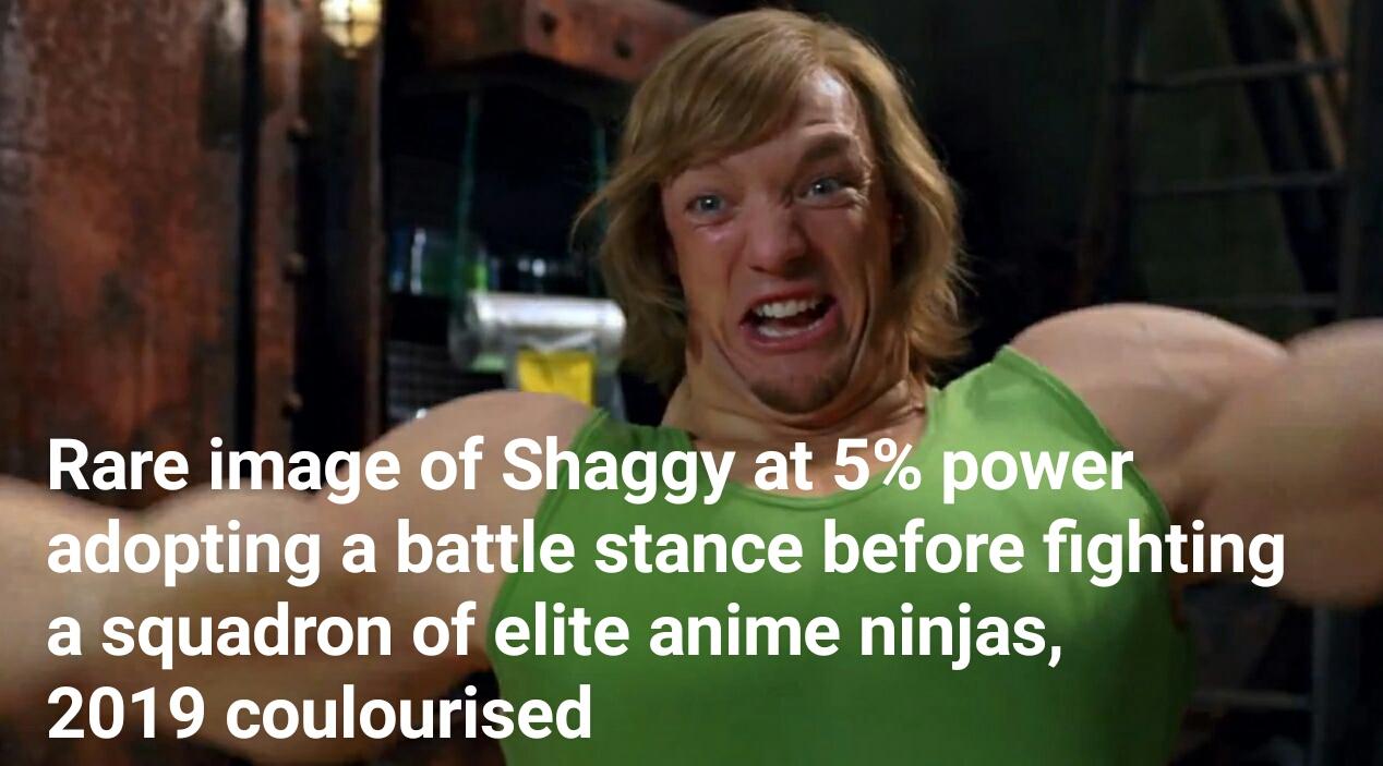 Shaggy battle stance Shaggy's Power Know Your Meme