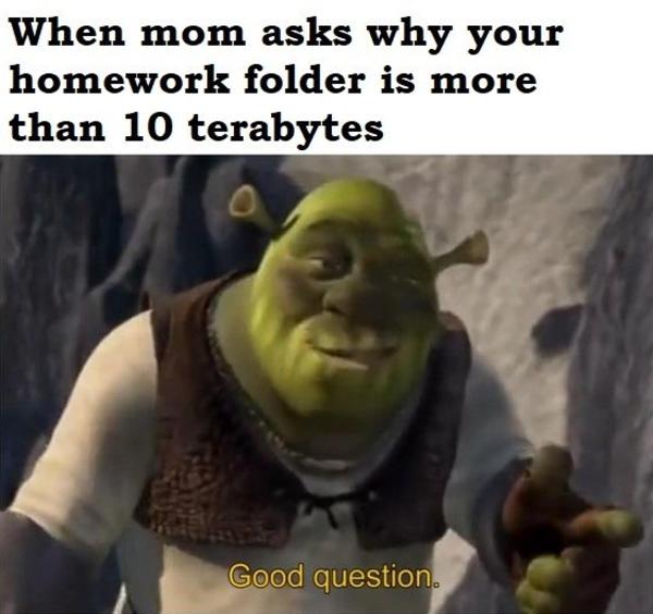 When Mom Asks Why Your Homework Folder Is More Than 10 Terabytes Good Question Know Your Meme