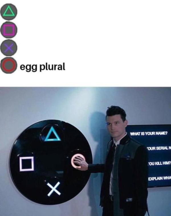 Egg Plural 1 Egg Plural Know Your Meme
