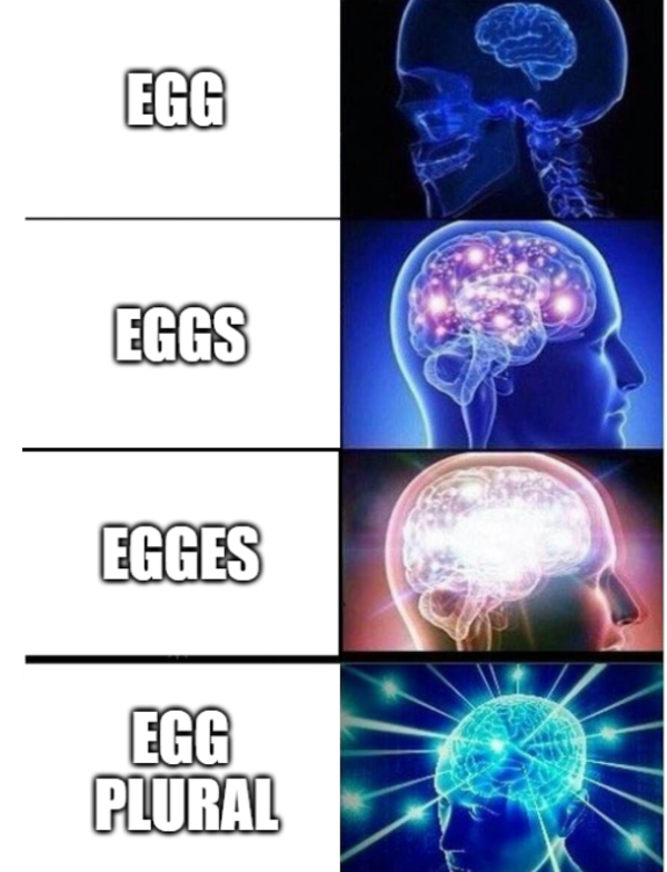 Egg Plural 4 Egg Plural Know Your Meme