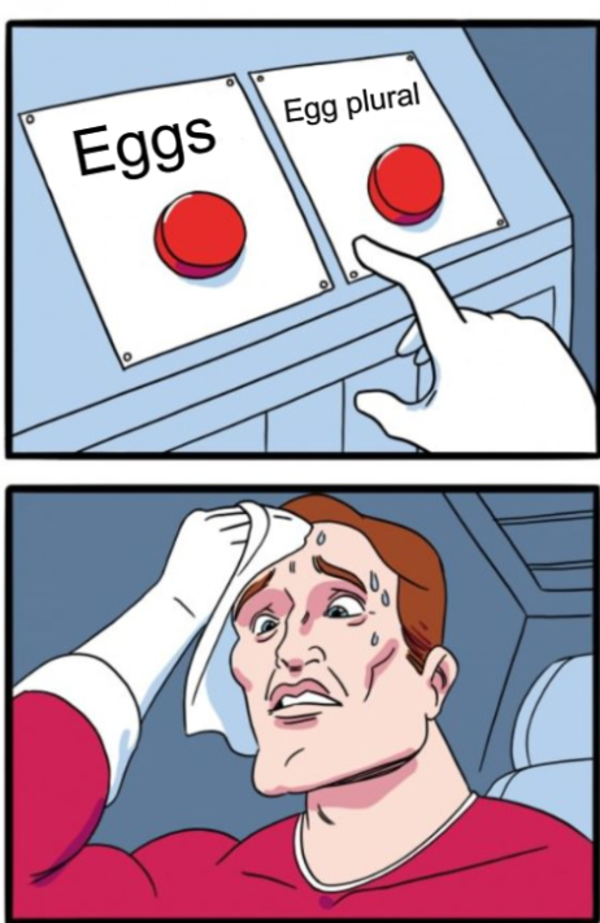 Egg Plural 5 Egg Plural Know Your Meme