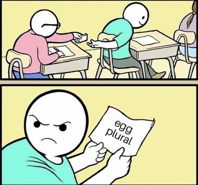 Egg Plural 11 Egg Plural Know Your Meme