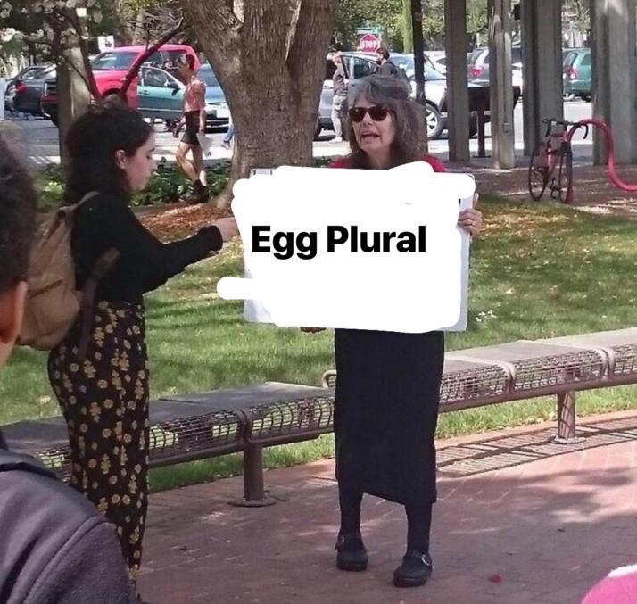 Egg Plural 13 Egg Plural Know Your Meme