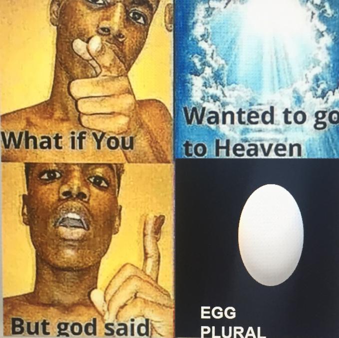 Egg Plural 14 Egg Plural Know Your Meme