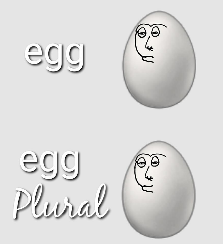 Egg Plural 21 Egg Plural Know Your Meme