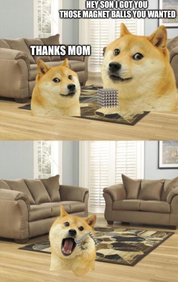 Doge No Don T Eat It Ironic Doge Memes Know Your Meme