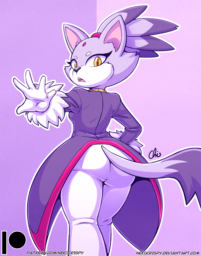 Blaze the Cat | Sonic the Hedgehog | Know Your Meme