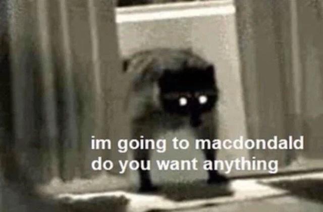 Raccoon Mcdonald S Know Your Meme