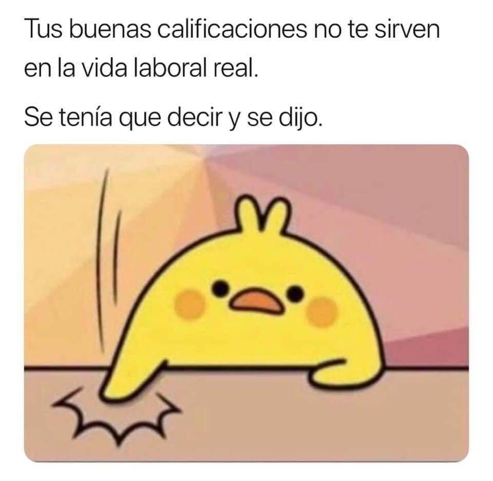 "Your good grades will not help you in work life" Se tenía que de...