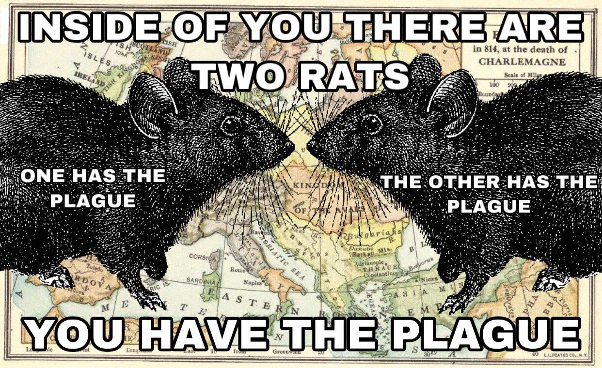 Rats, we're rats; we're the rats. | Inside You There Are Two Wolves ...