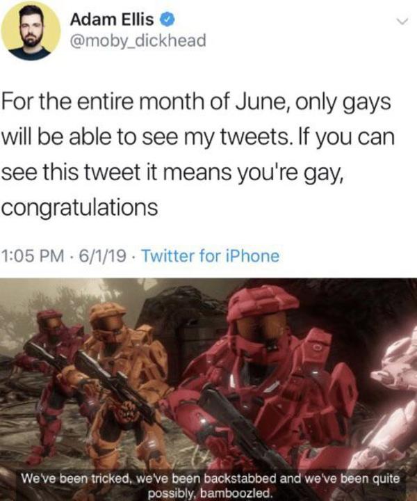 Bamboozled We've Been Tricked, We've Been Backstabbed and We've Been