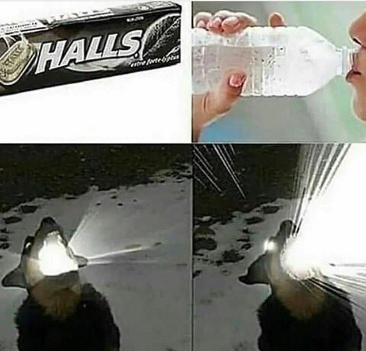 Wake Me Up Inside | Wake Me Up Inside (Can't Wake Up) | Know Your Meme