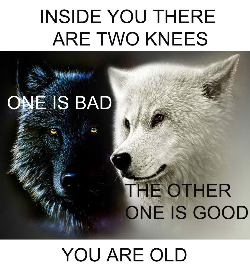 inside of you there are two wolves