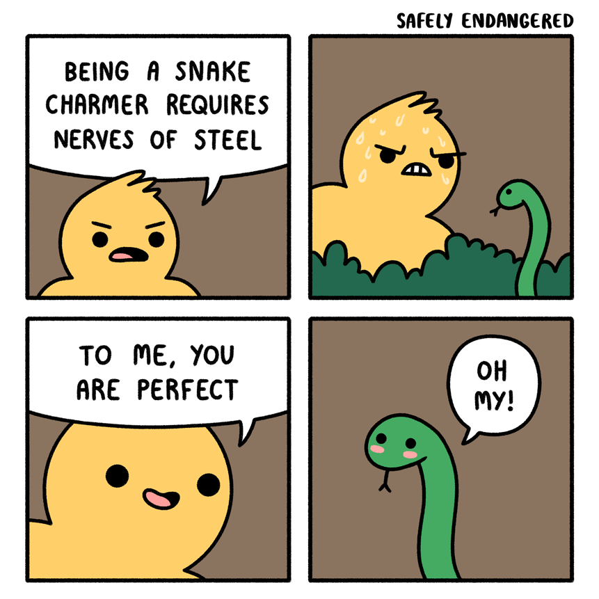 The best snake charmer r/wholesomememes Wholesome Memes Know Your