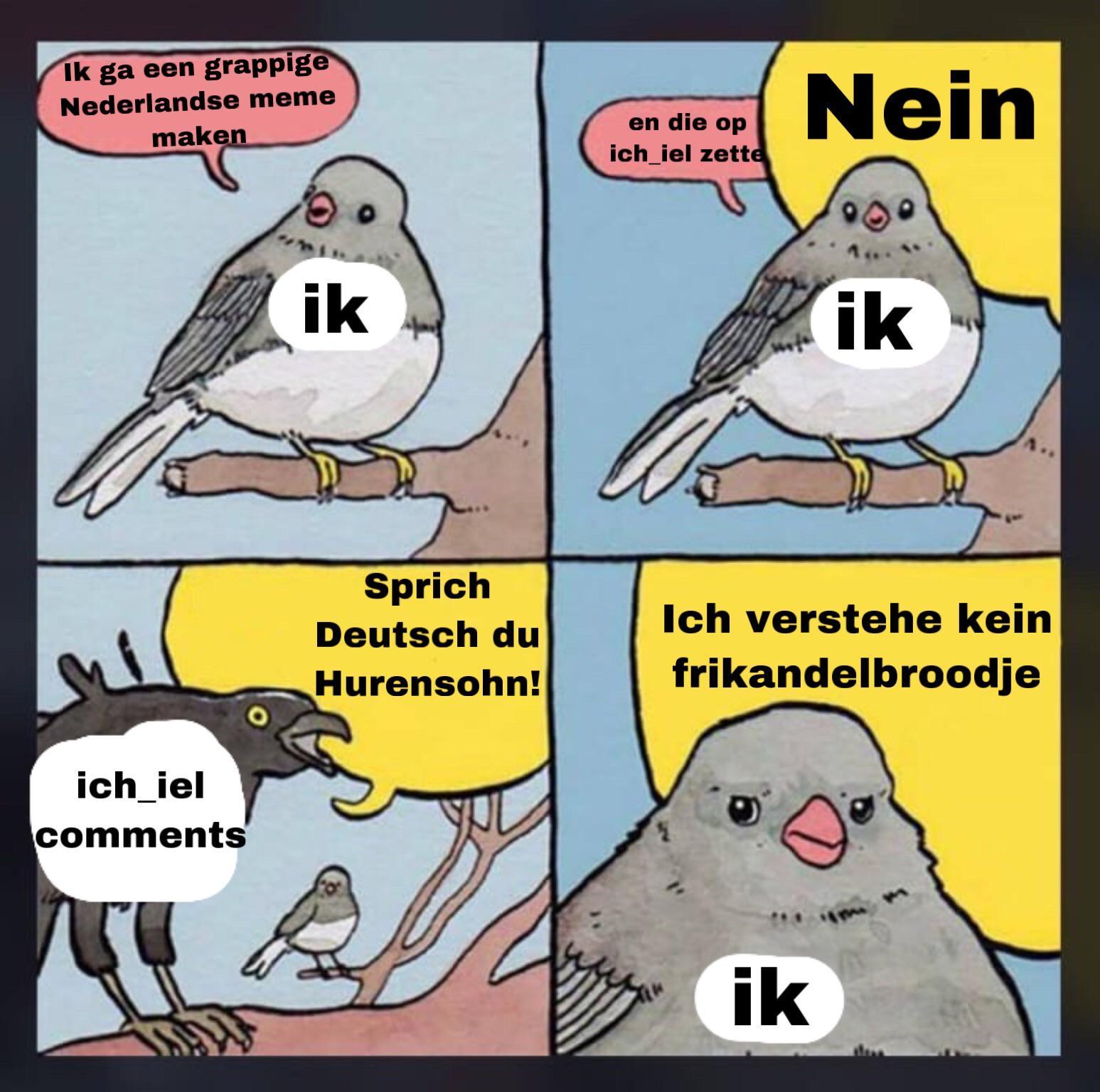 ich_iel German and Dutch Me_IRL Invasion Know Your Meme