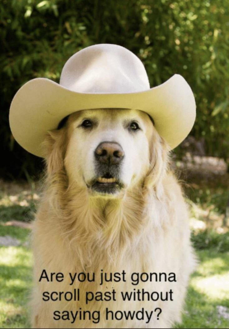 You Can T Just Scroll Past This R Wholesomememes Wholesome Memes Know Your Meme