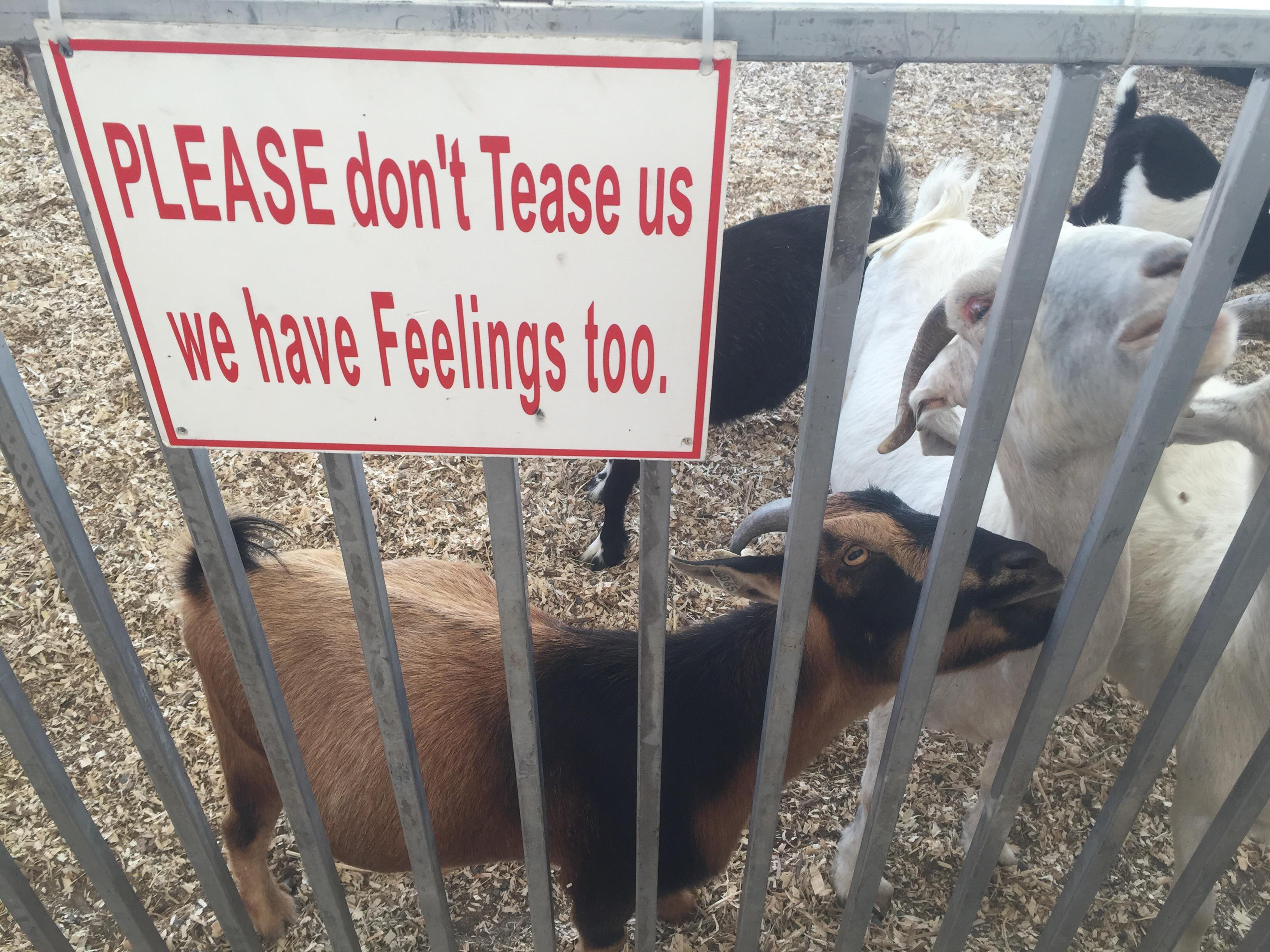 This sign at the NYS Fair petting zoo. r/mildlyinteresting Mildly