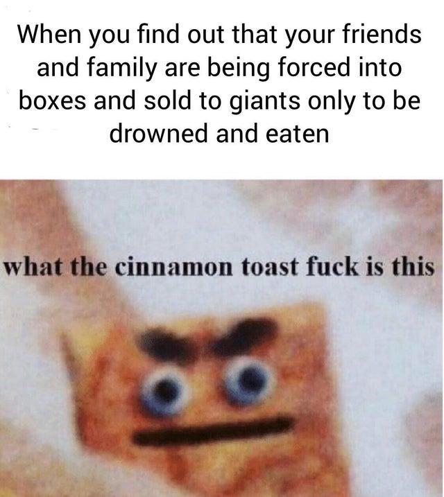 This Is Odd Indeed What The Cinnamon Toast Fuck Is This Know Your Meme