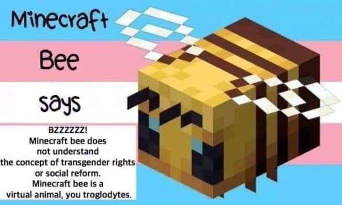 The Other Side The Minecraft Bee Is Trans Know Your Meme