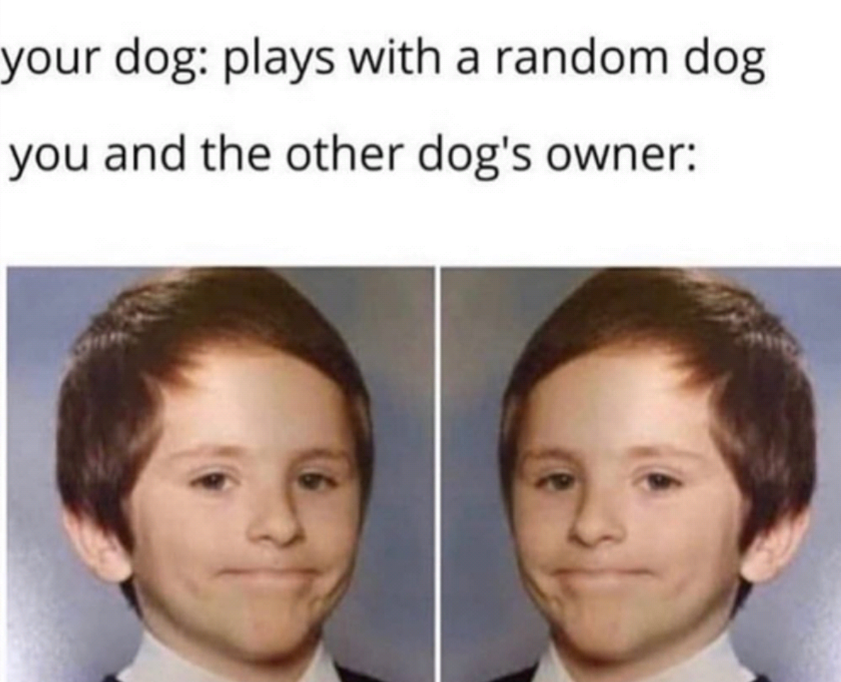 Aww Dont Be Shy R Wholesomememes Wholesome Memes Know Your Meme