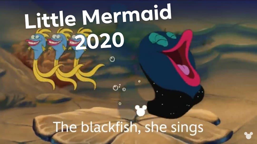 Little Mermaid 2020 be like The Little Mermaid Remake Controversy
