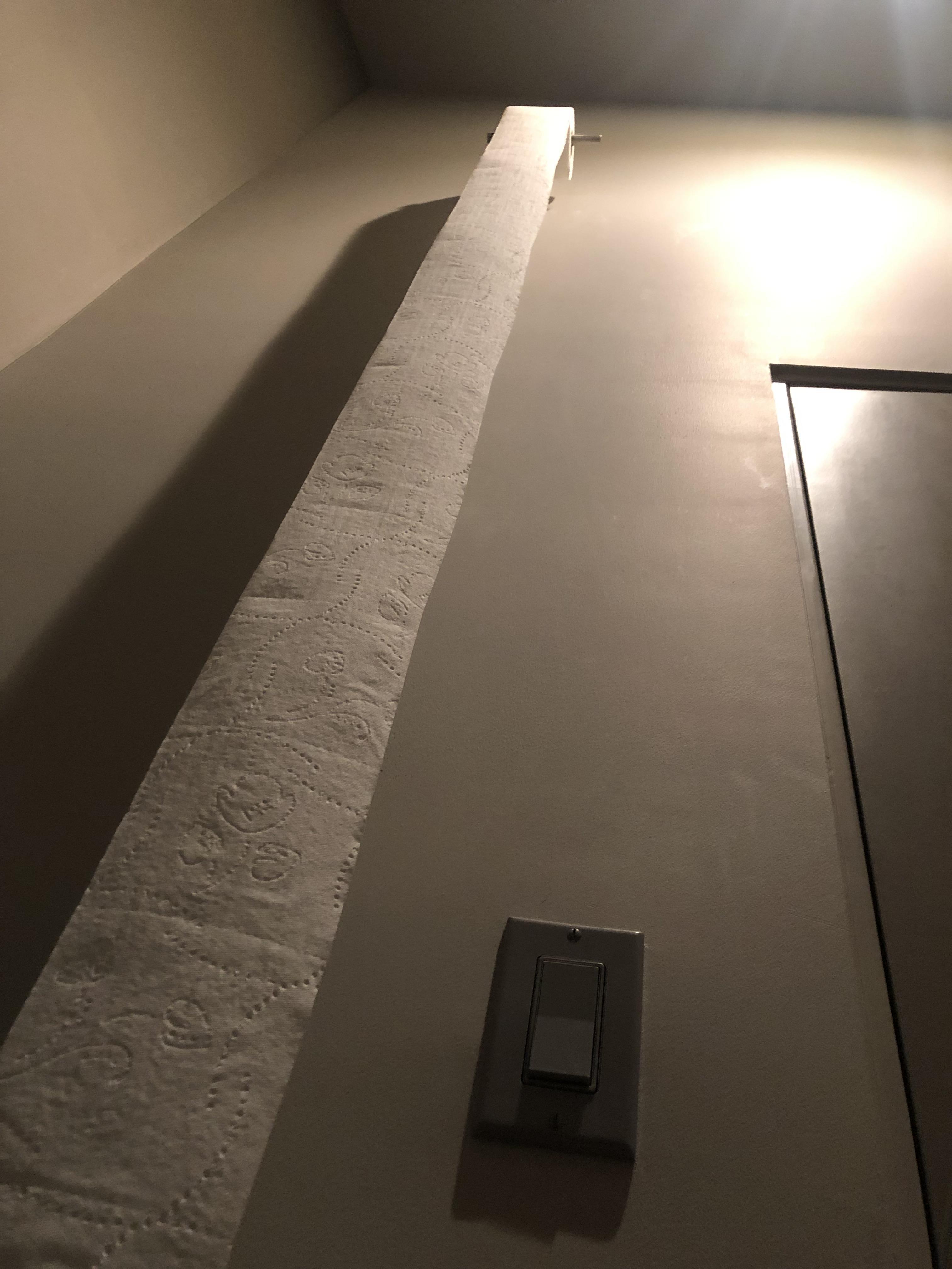 The toilet paper placement in my Airbnb r/mildlyinteresting Mildly