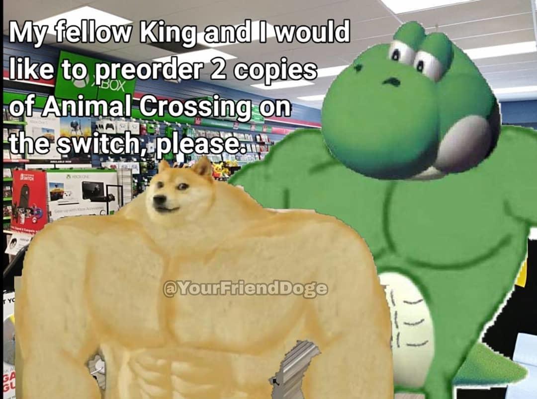 do i need to buy 2 copies of animal crossing