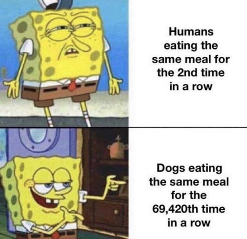 lmao r/BikiniBottomTwitter SpongeBob's Wallet Know Your Meme