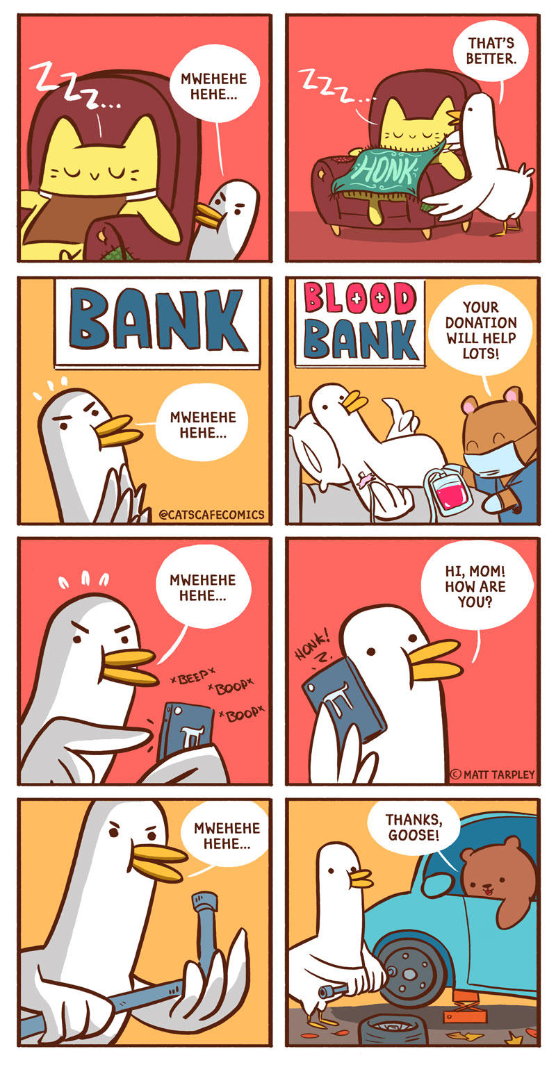Featured image of post Silly Goose Tiktok Meme