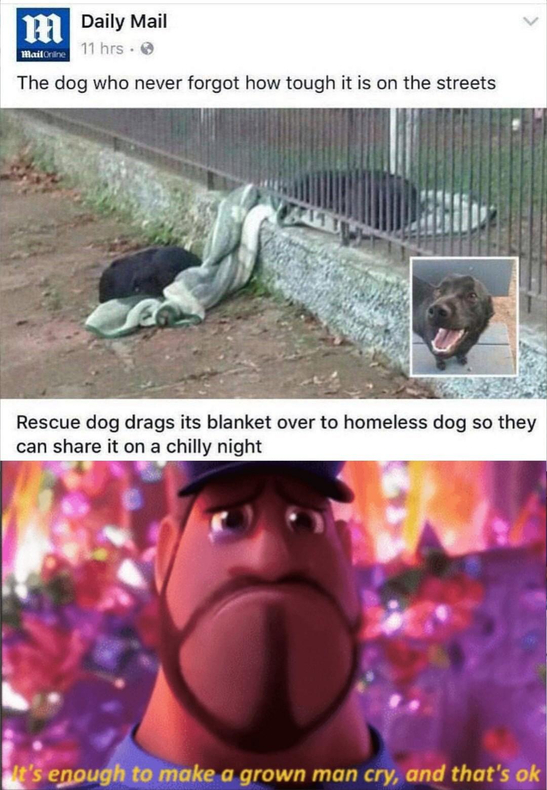 It S Enough To Make Me Cry R Wholesomememes Wholesome Memes Know Your Meme