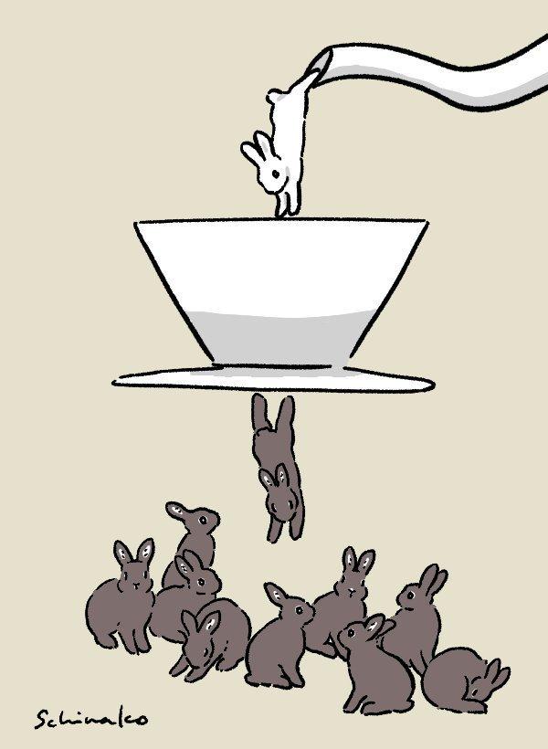 Buns & Coffee Rabbits Know Your Meme