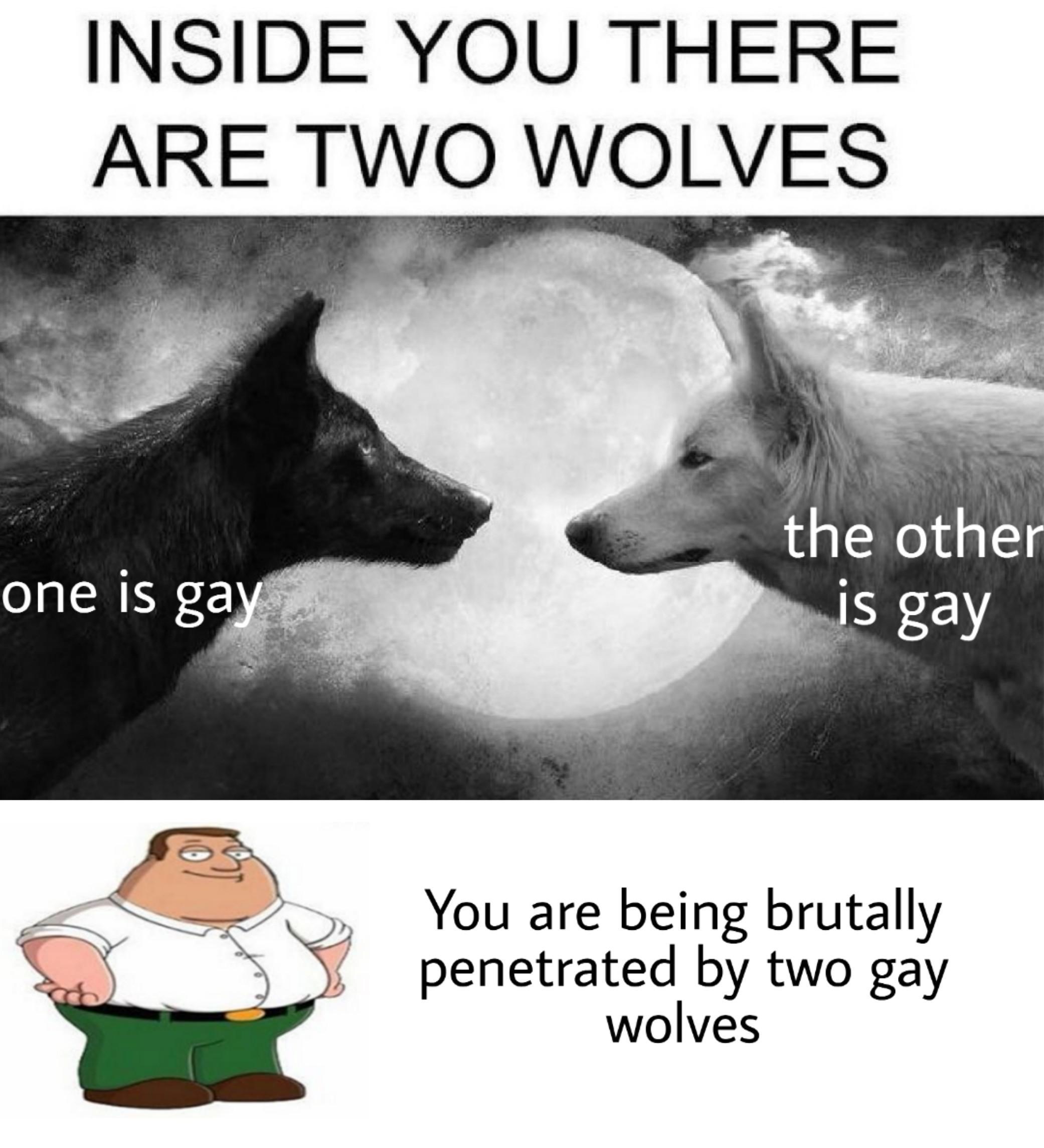 Haha ur gay r/okbuddyretard Inside You There Are Two Wolves Know