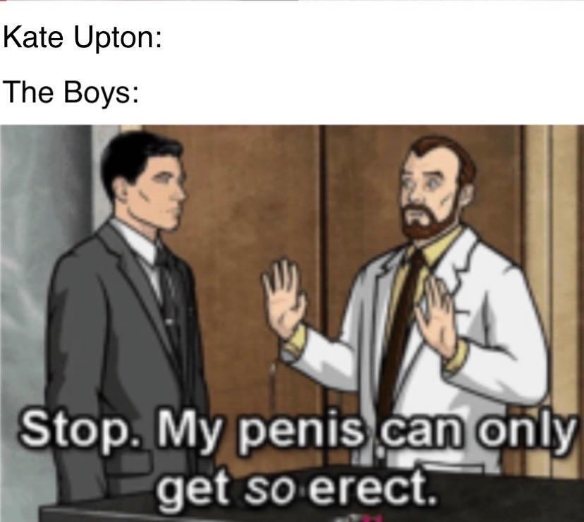 Stop My Penis Can Only Get So Erect Meme