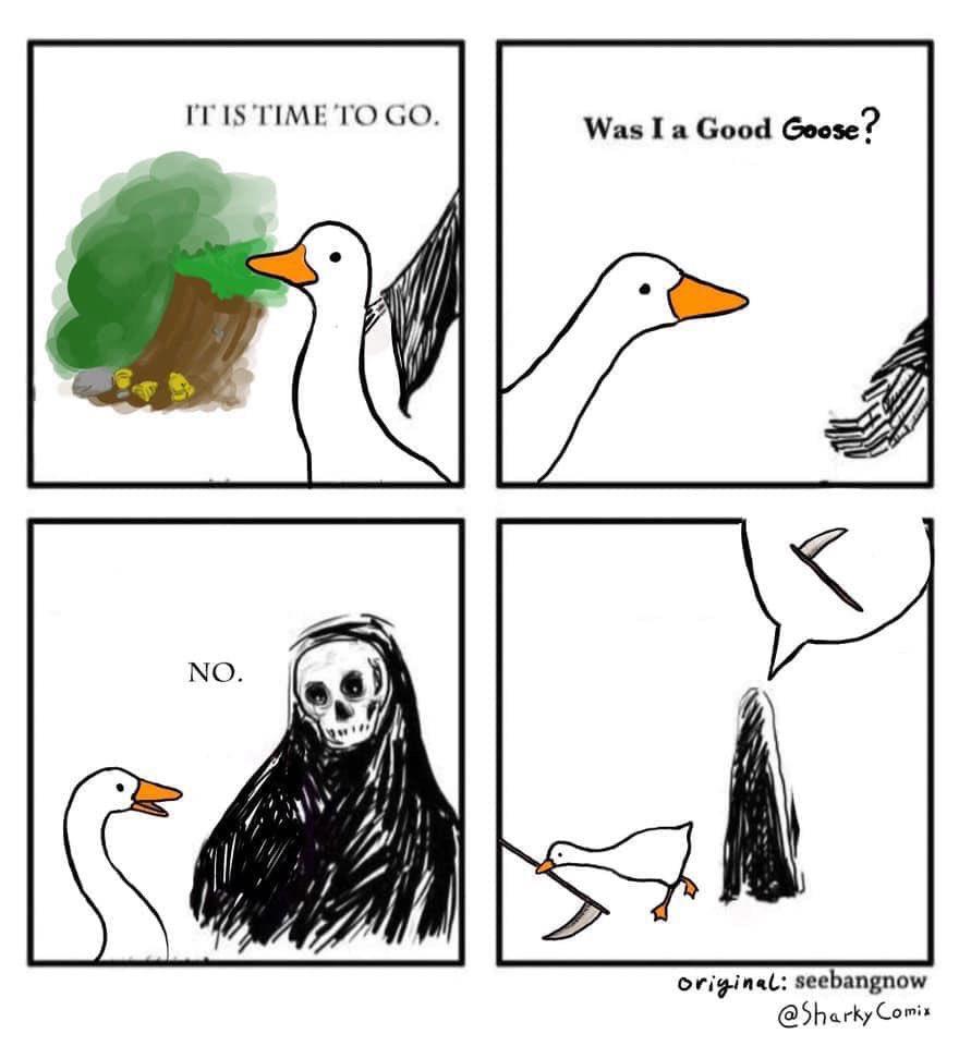 HONK Untitled Goose Game Know Your Meme HONK Untitled Goose Game Know Your Meme