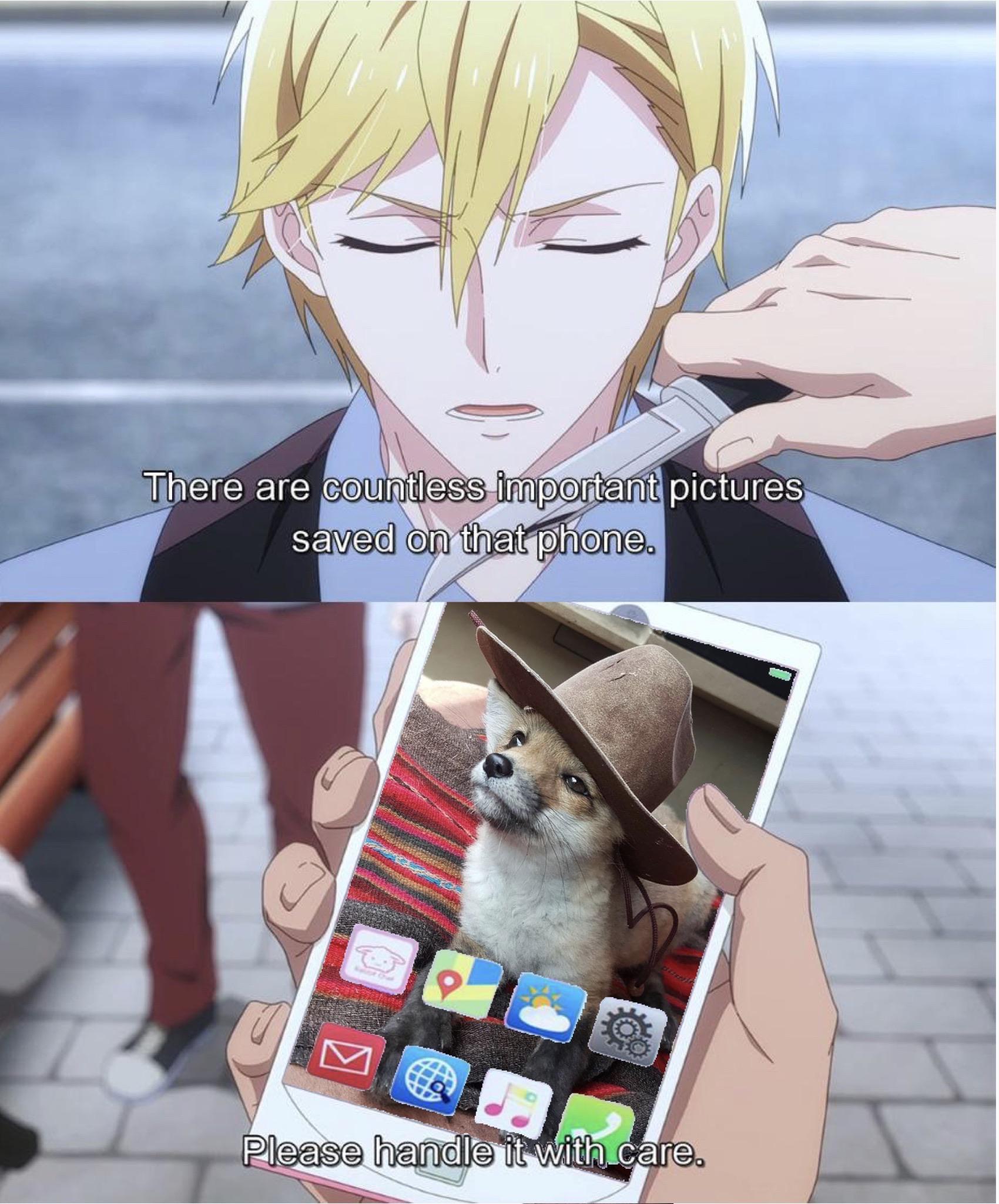 Please Handle With Care R Wholesomememes Wholesome Memes Know Your Meme