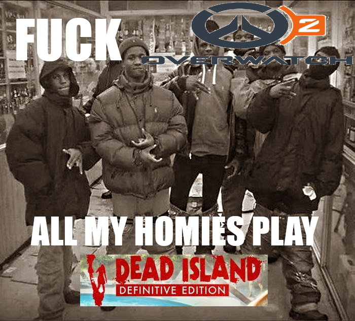 Fuck Niggers All My Homies Hate Niggers