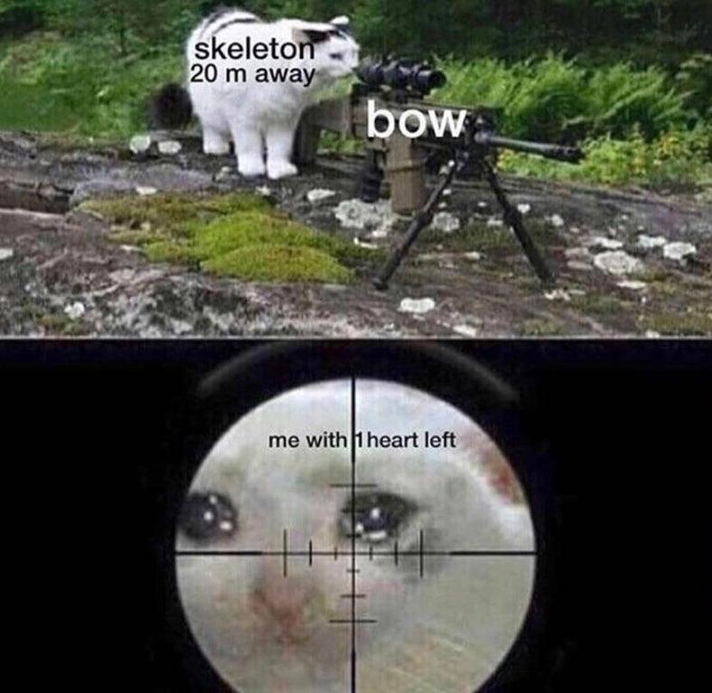 Me With 1 Heart Left Cat Sniping Crying Cat Know Your Meme