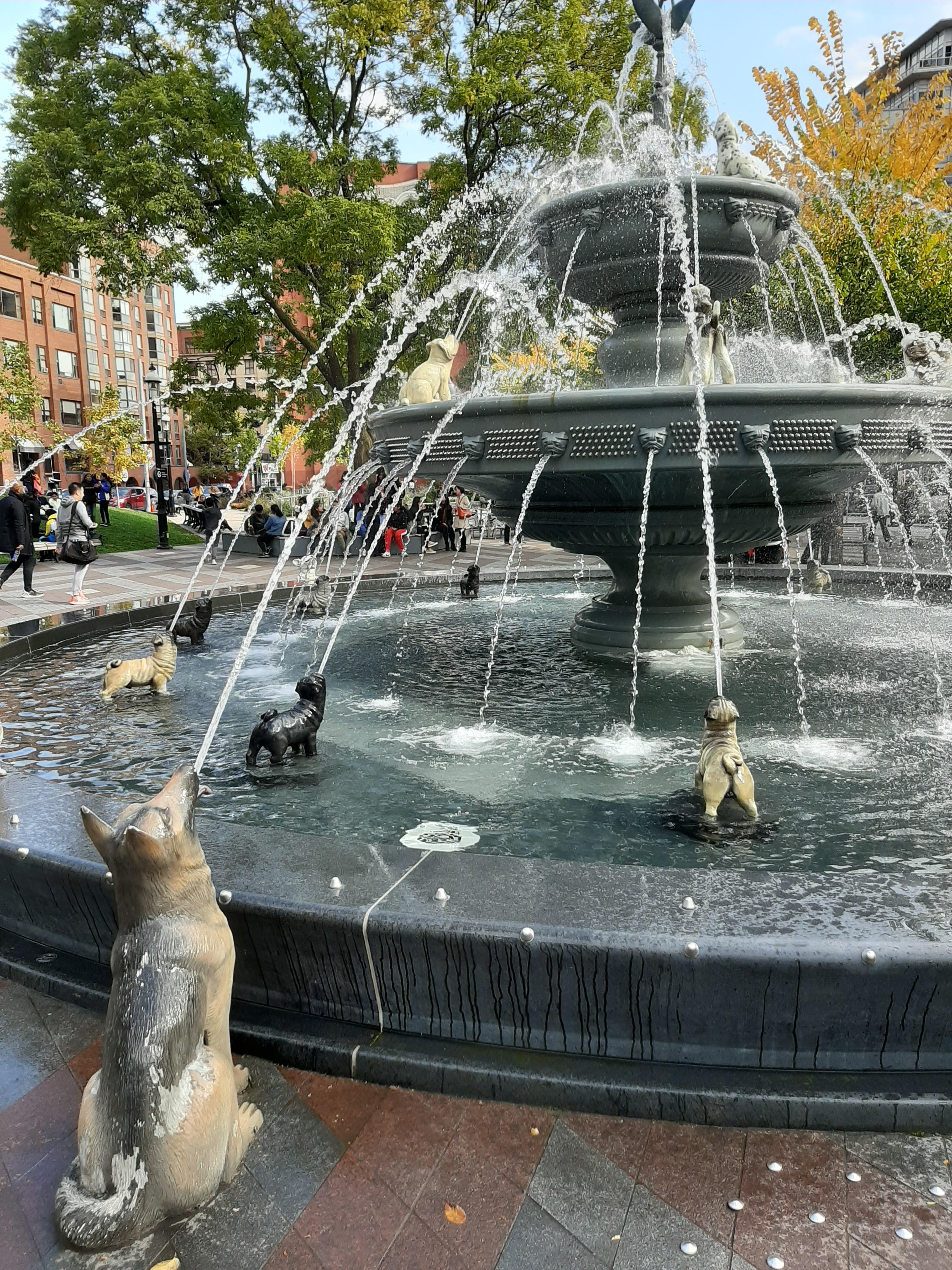 The Dog Fountain You Didn t Know You Needed In Your Life r
