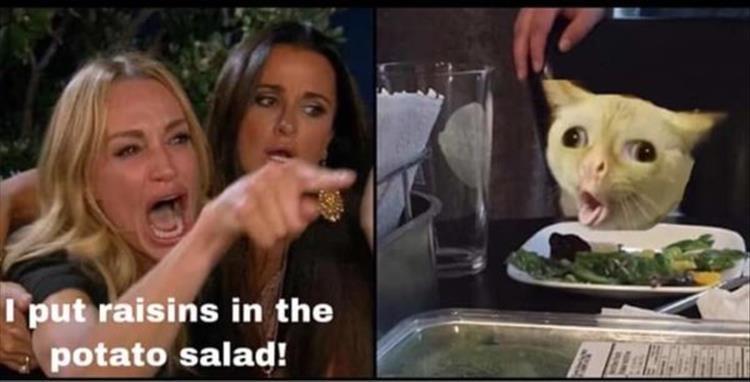 Featured image of post Cat Salad Meme Template / 2019 produced several popular internet trends and viral memes, including woman yelling at a cat, which the cat in the picture is named smudge, and he&#039;s used to getting his own seat at the dinner table, his.