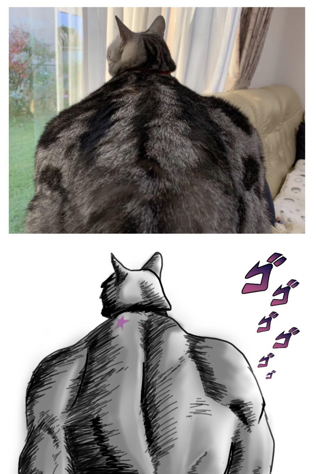 I should be studying, but instead I made buff Jojo cat /r