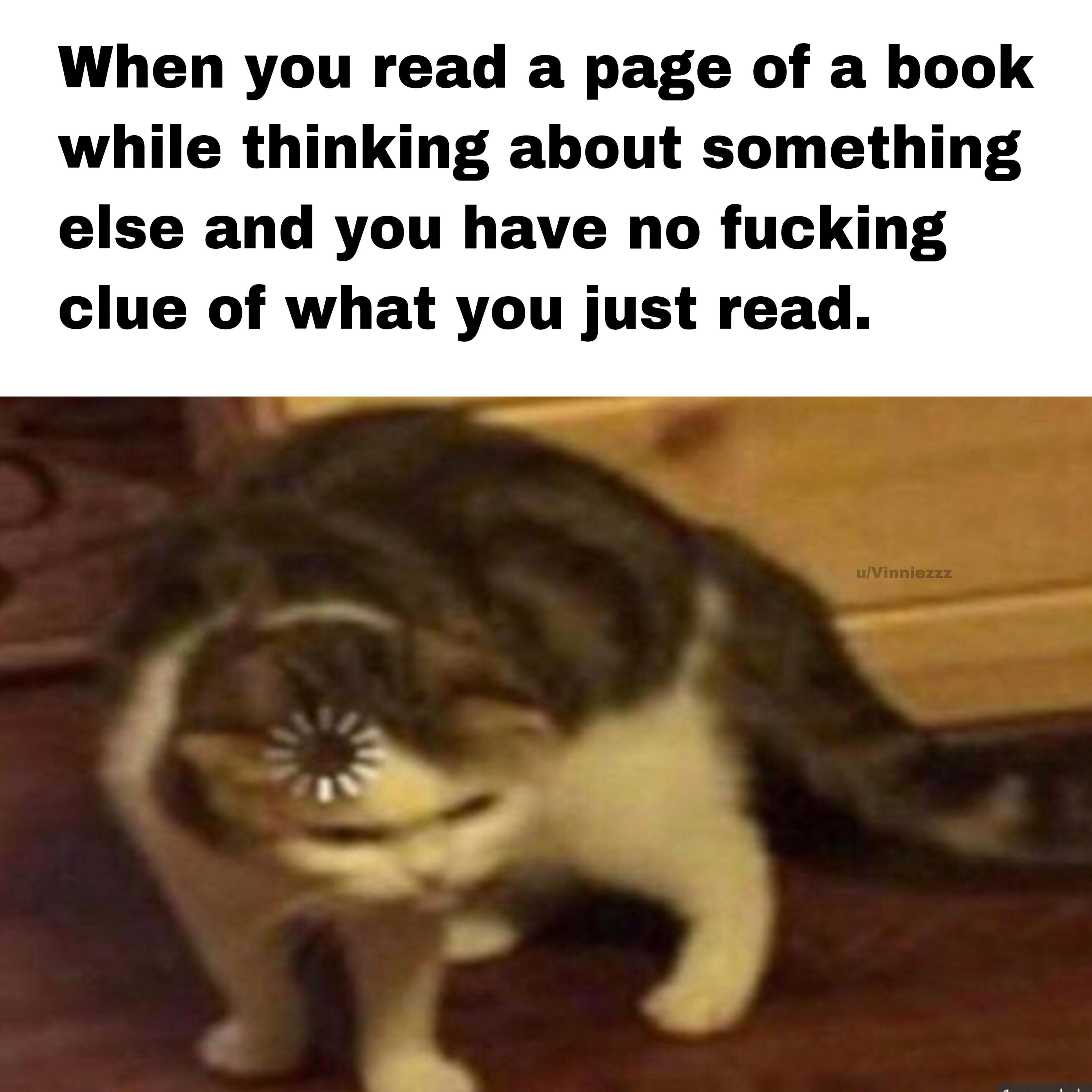 Brain Exe Has Stopped Working R Memes Know Your Meme